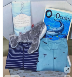Baby-Bathtub-Gift-Basket-Ideas-for-a-Baby-Shower