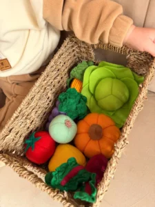 FELT-VEGETABLES
